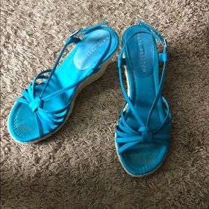 Turquoise wedges